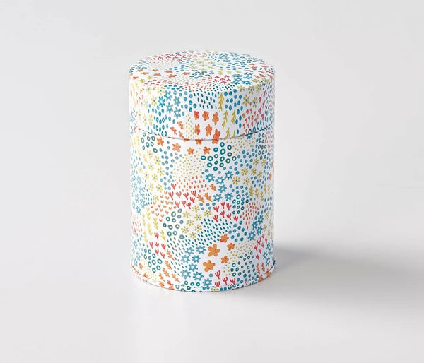 Multi coloured Tea Caddy