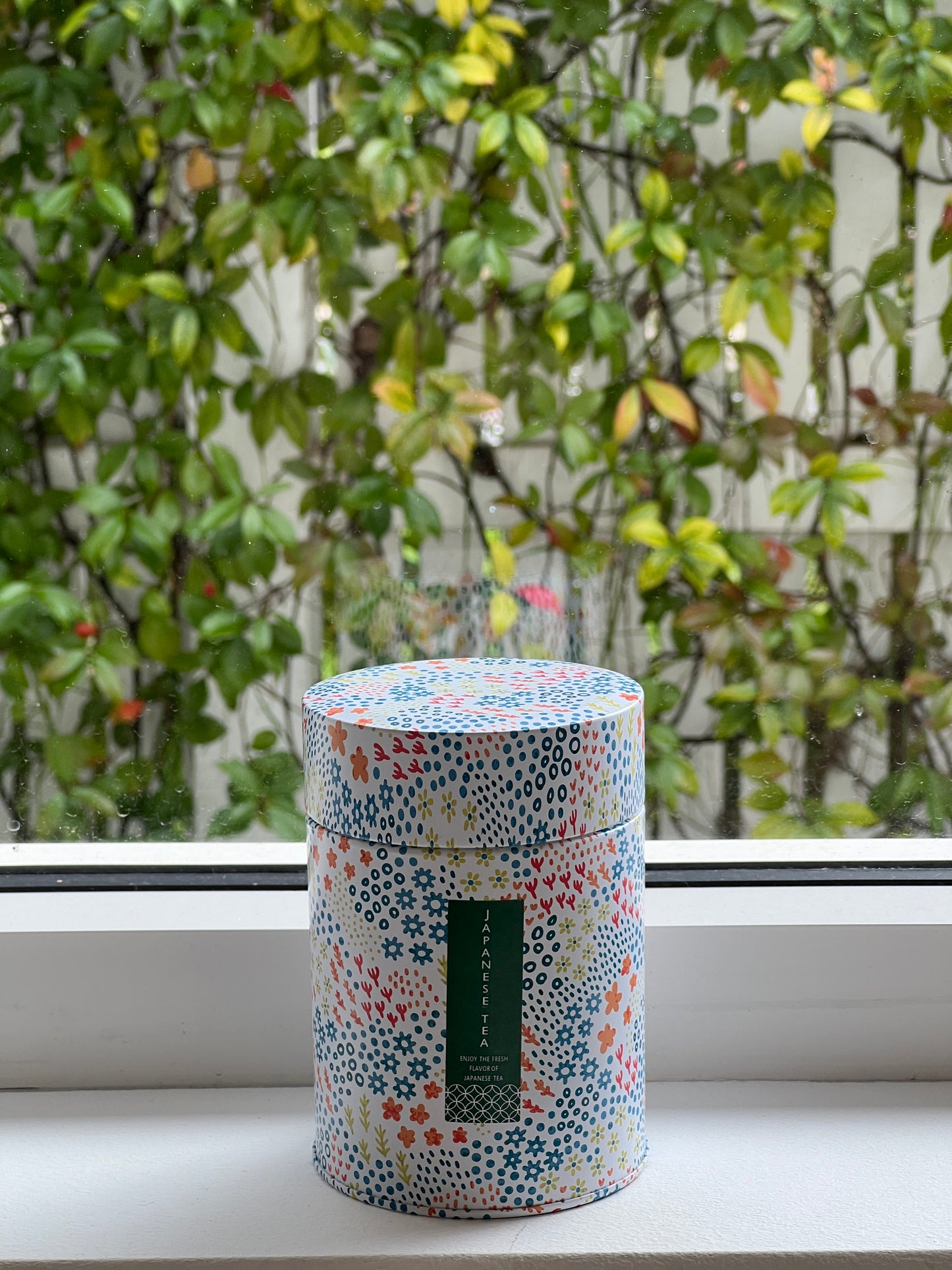 Multi coloured Tea Caddy