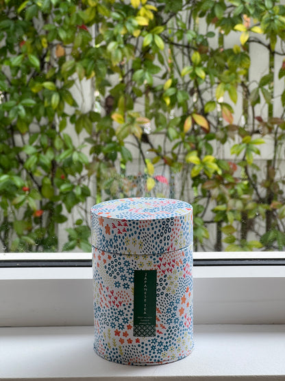 Multi coloured Tea Caddy